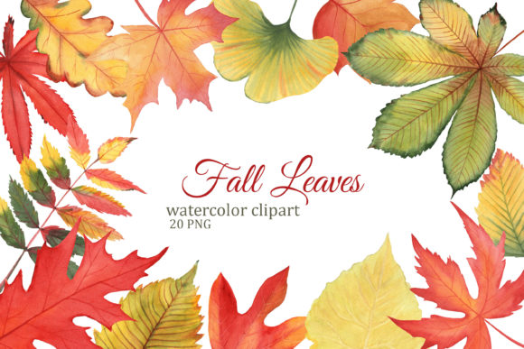 Autumn Leaves Watercolor Clipart, Fall Illustrations