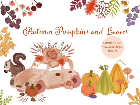 Autumn Pumpkins Leaves Watercolor Illustrations Review