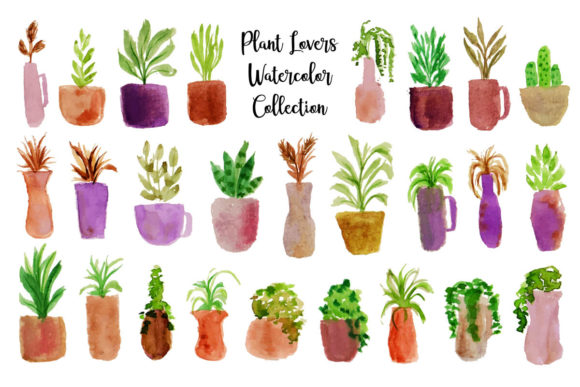 Boho Pot Plants Watercolor Collection and Illustrations
