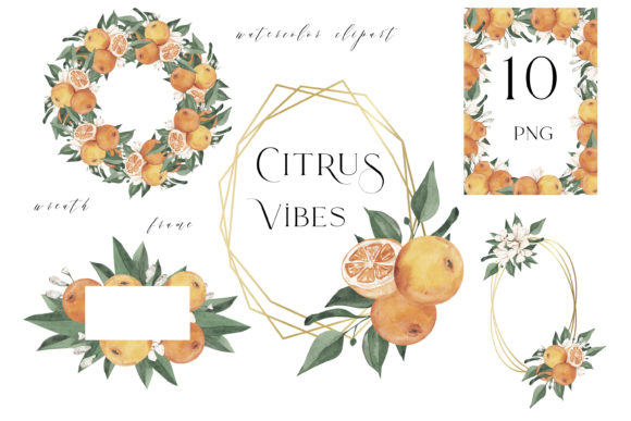 Citrus Wreath Clipart, Watercolor Orange Illustrations