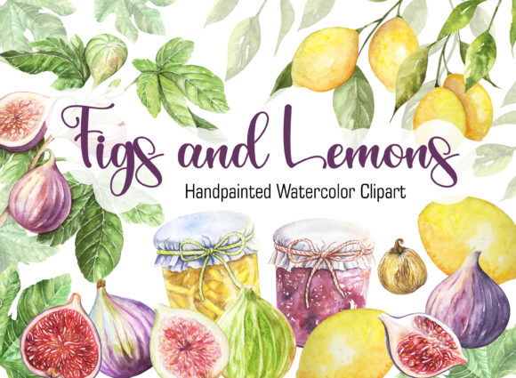 Figs and Lemons Watercolor Clipart and Illustrations