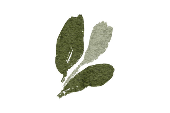 Greenery Leaf Element Watercolor Paint and Illustrations