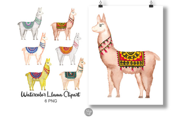 Llama Watercolor Clipart and Illustrations