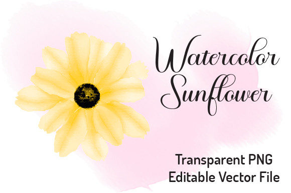 Sunflower Watercolor Clipart 1: Vibrant Illustrations