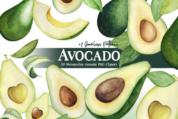 Watercolor Avocado Clipart Set and Illustrations