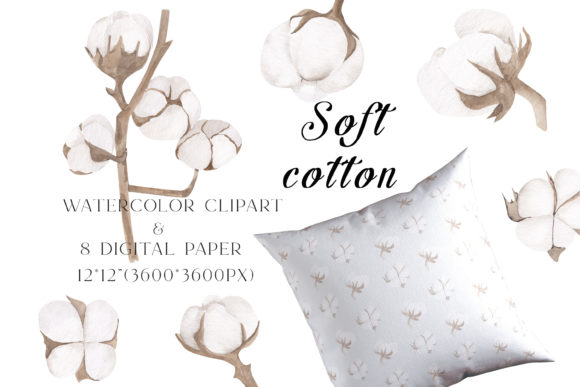 Watercolor Cotton Clipart Png and Illustrations