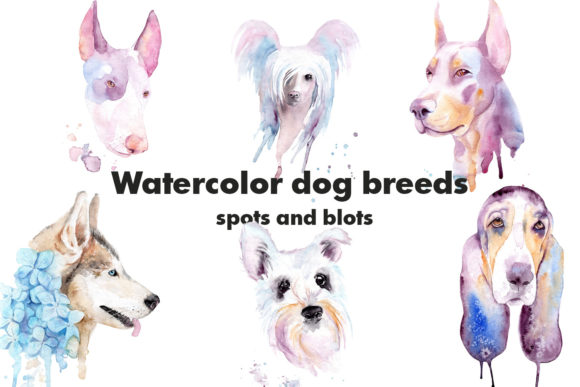 Watercolor Dog Breeds Illustrations