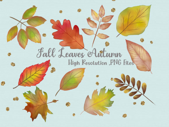 Watercolor Fall Leaves Autumn Clipart and Illustrations