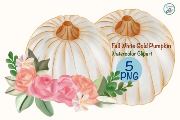 Watercolor Fall White Pumpkin Illustrations