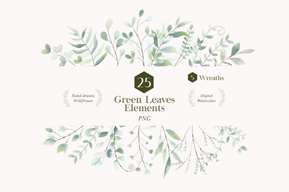 Watercolor Green Leaves PNG: Fresh Illustrations for Blogs