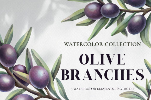 Watercolor Olive Branches Illustrations