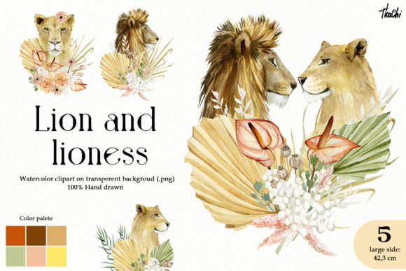 Watercolor Tropical Floral and Lion Illustrations Review