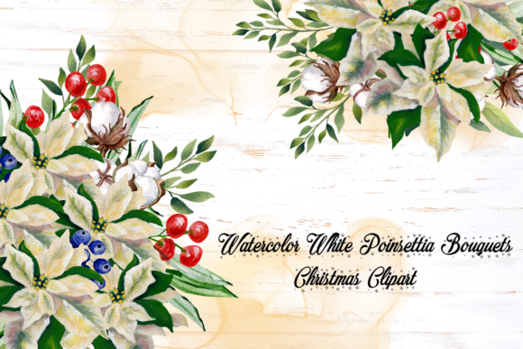 Watercolor White Poinsettia Bouquets Illustrations