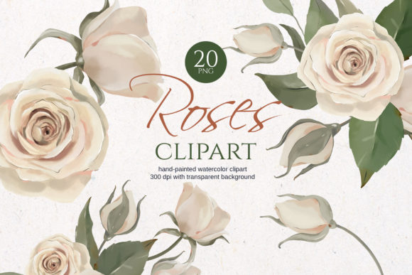 White Watercolor Roses Clipart and Illustrations