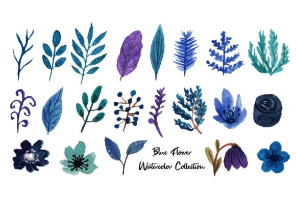 Winter Blue Flower Watercolor Illustrations